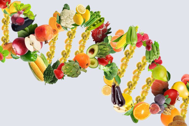 Nutrigenetics concept DNA strand made with healthy fresh vegetables and fruits